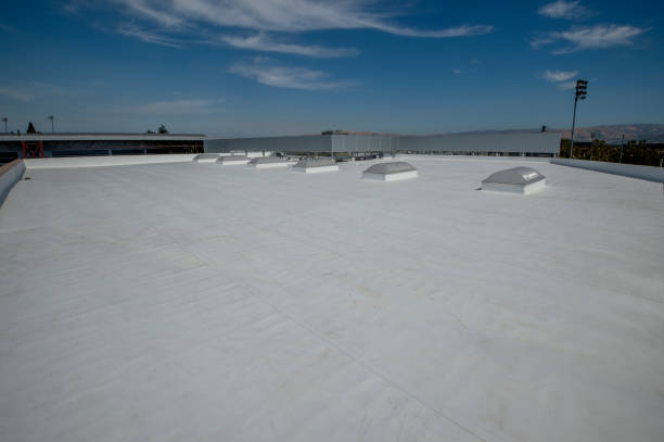 Best Roof Coating and Sealing  in Loveland Park, OH